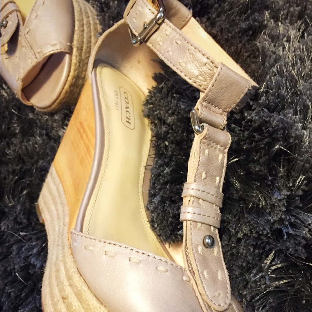 EUC Pearl Gray Peeptoe Coach Wedges